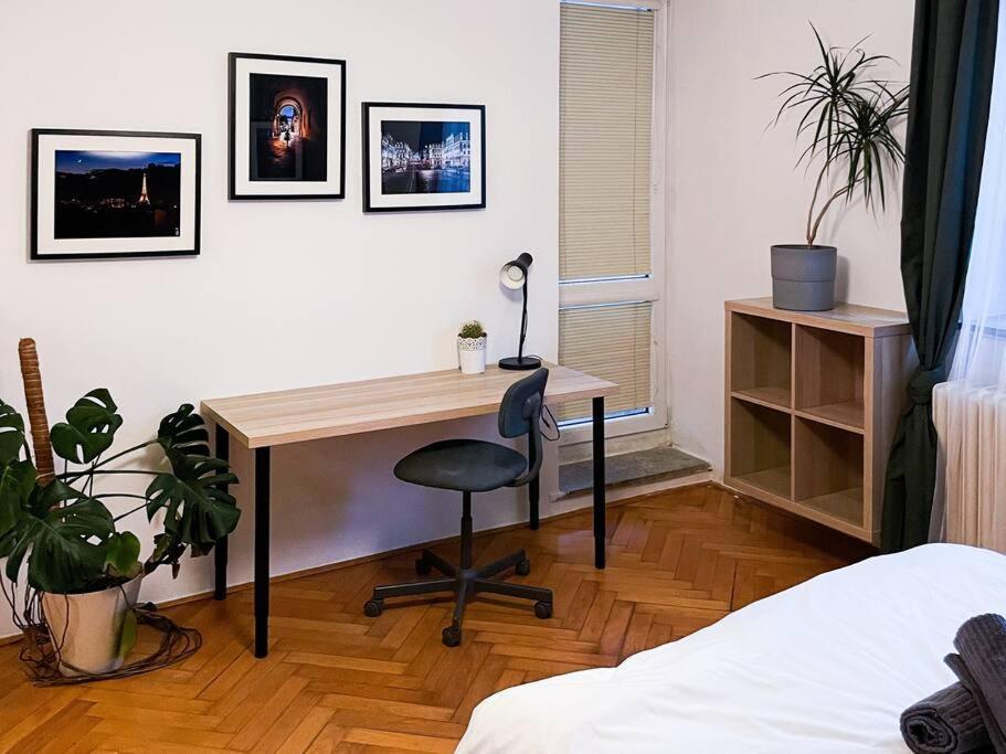 Rodinny Byt Pro 4 Na Brno-Stred Exteriér fotografie